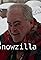 The Snowzilla Diary's primary photo