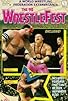 Primary photo for WWF: Wrestlefest '90 Primary photo for WWF: Wrestlefest '90