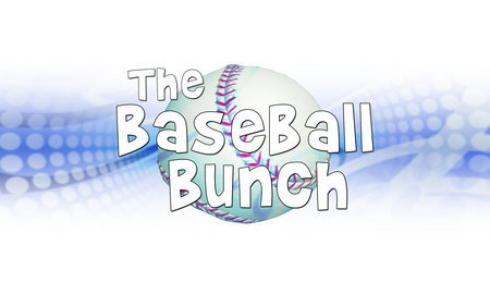 Baseball Bunch