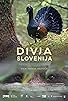 Primary photo for Wild Slovenia Primary photo for Wild Slovenia