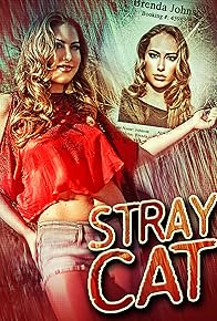 Primary photo for Stray Cat