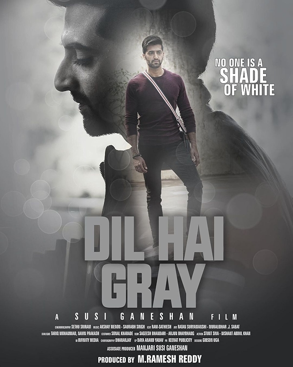 Movie poster for DIL HAI GRAY (UA rated)