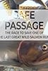 Primary photo for Safe Passage Primary photo for Safe Passage