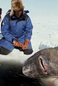 Primary photo for Greenland Shark Quest