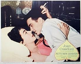 पोस्टर देखें