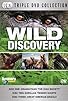 Primary photo for Wild Discovery Primary photo for Wild Discovery
