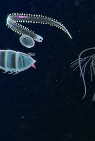 Primary photo for Just a Little Drift