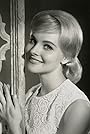 Diane McBain's primary photo Diane McBain's primary photo