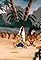 The Surf Grunges's primary photo