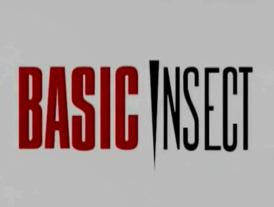 Basic Insect