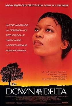 Poster of Down in the Delta