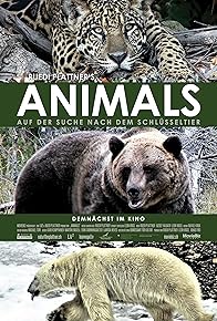 Primary photo for Animals