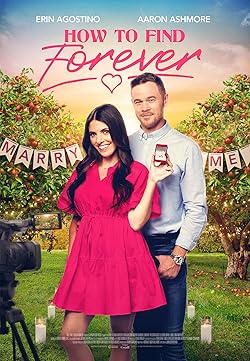 Poster of How to Find Forever