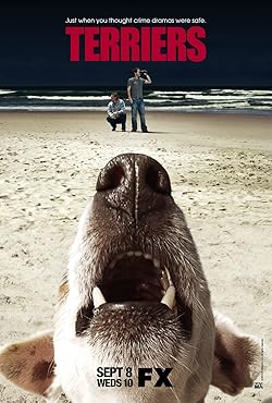 Poster of Terriers