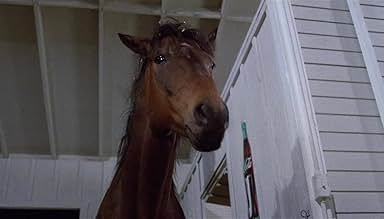 पोस्टर देखें