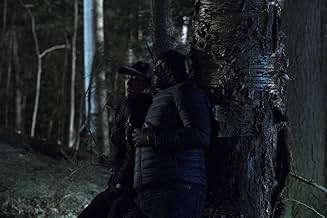 पोस्टर देखें