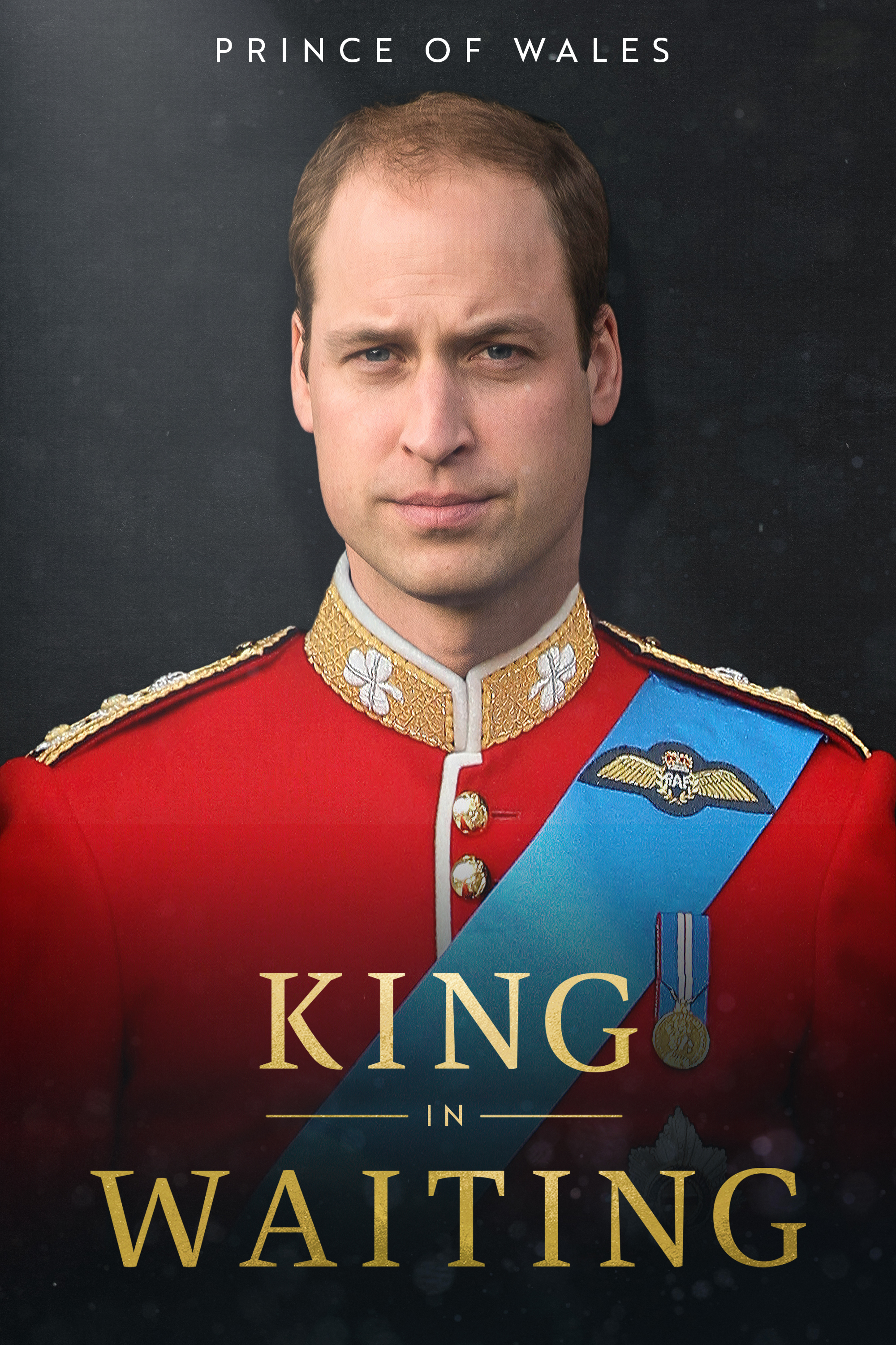 洋書 The Prince of Wales a Biography The Prince of Wales: A Biography by DIMBLEBY, Jonathan first