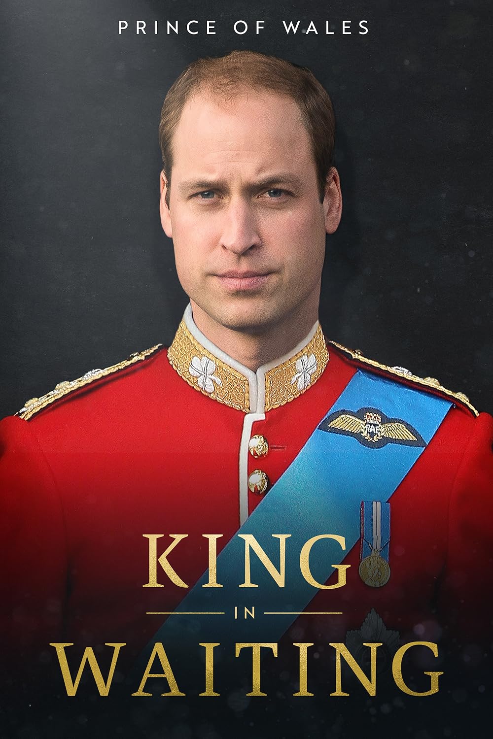 Prince of Wales: King in Waiting (2023) - IMDb