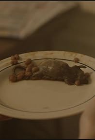 Primary photo for Vermin