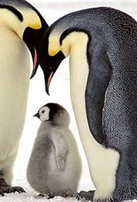 Primary photo for Bringing Up Baby: The Natural History of a Mother's Love