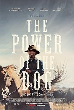 Poster of The Power of the Dog