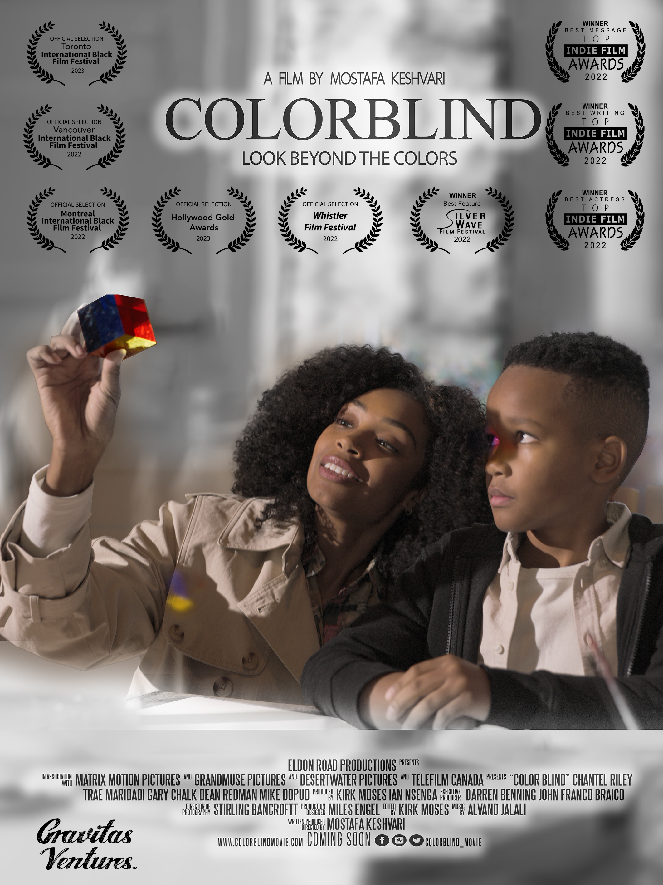 Poster of Colorblind
