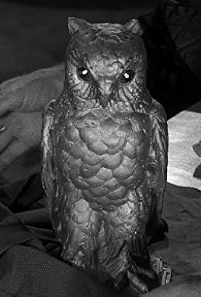 Primary photo for The Golden Owl Primary photo for The Golden Owl