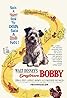 Greyfriars Bobby: The True Story of a Dog (1961) Poster