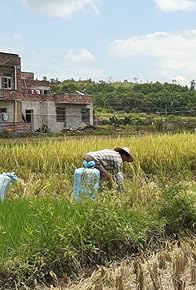 Primary photo for The Gleaners