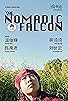 Primary photo for The Nomadic Falcon