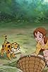 Primary photo for Tarzan and the Lost Cub Primary photo for Tarzan and the Lost Cub