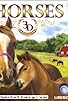 Primary photo for Horses 3D
