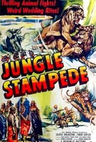 Primary photo for Jungle Stampede Primary photo for Jungle Stampede