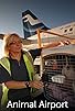 Primary photo for Animal Airport