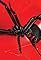 Black Widow Spider's primary photo