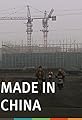 Made in China's primary photo