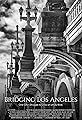 Bridging Los Angeles's primary photo