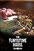 Primary photo for The Flintstone House
