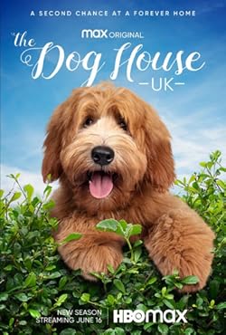 Poster of The Dog House