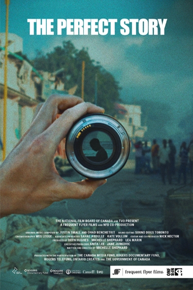 Poster of The Perfect Story