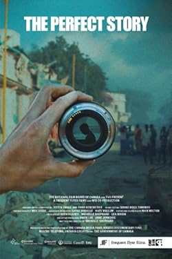 Poster of The Perfect Story