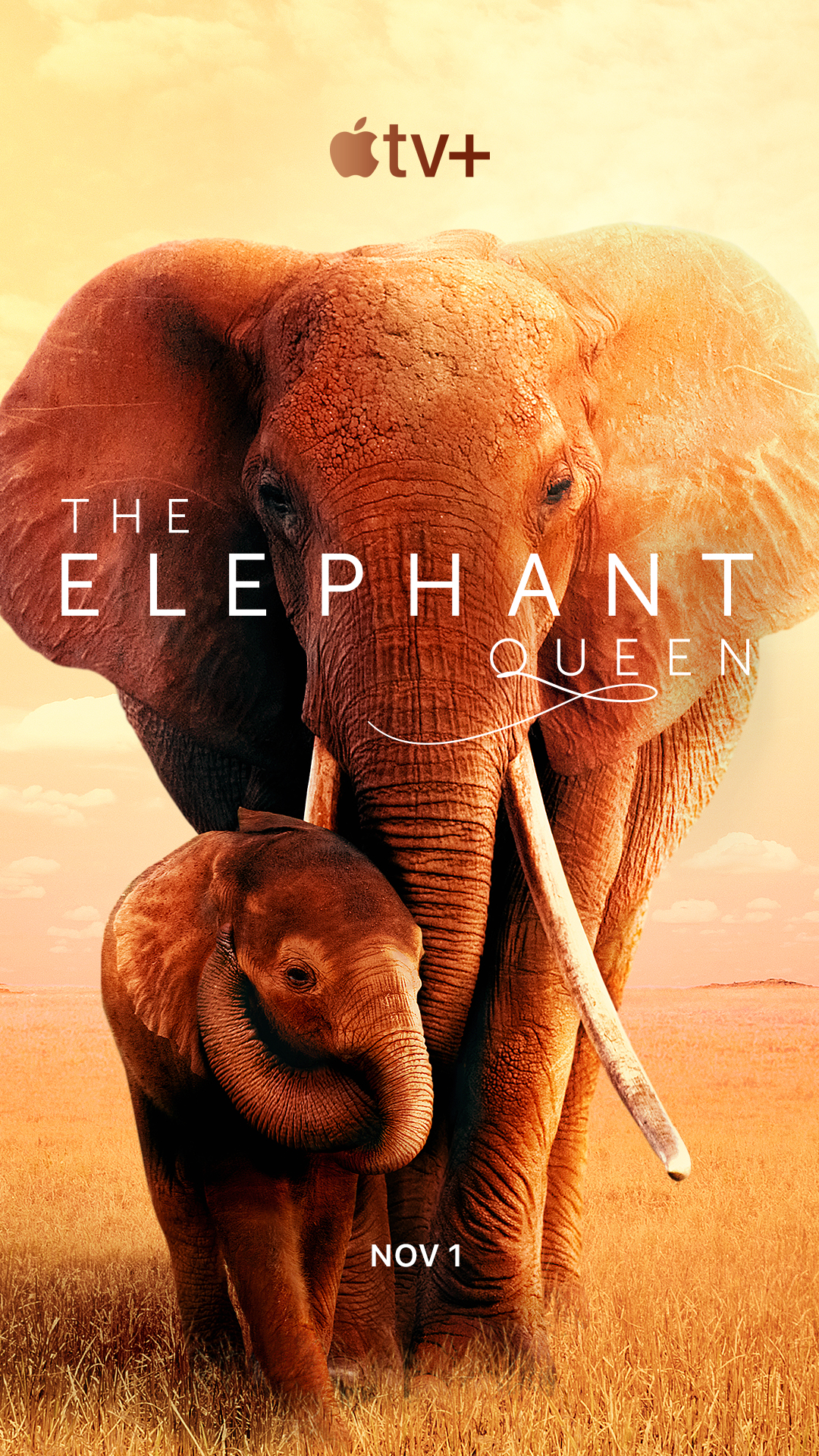 Poster of The Elephant Queen