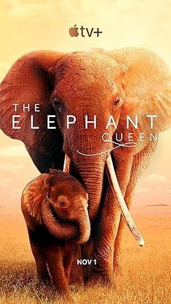 Poster of The Elephant Queen