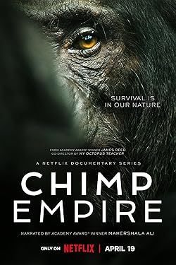 Poster of Chimp Empire