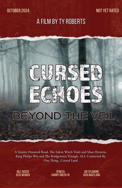 Cursed Echoes: Beyond the Veil