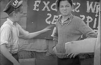 पोस्टर देखें