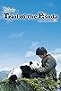 Primary photo for Trail of the Panda Primary photo for Trail of the Panda