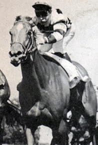 Primary photo for La cravache d'or