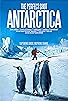 Primary photo for The Perfect Shot: Antarctica