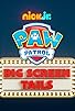 Primary photo for Paw Patrol: Mission Big Screen
